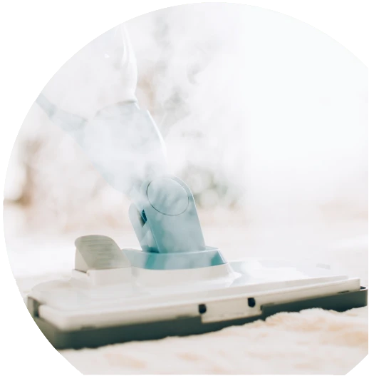 Profesjonalne sprzątanie