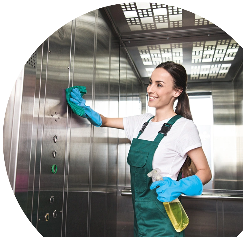 Dołącz do po czysto